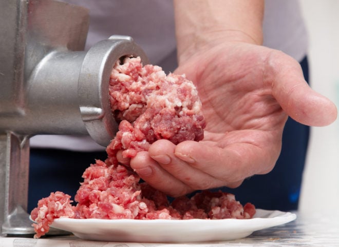 meat grinder for venison jerky