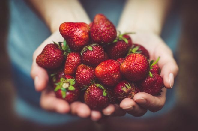 Handpicked Strawberries