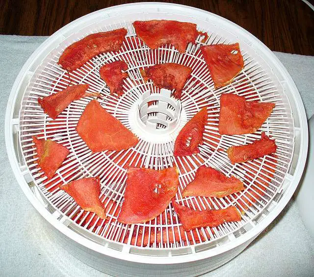 dehydrated watermelon slices