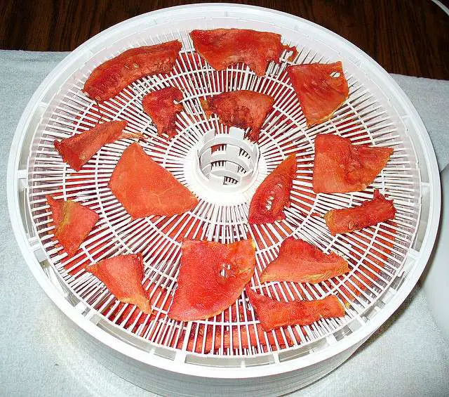 How to Dry Watermelon: Dehydrated Watermelon Candy – Dry Food Craze