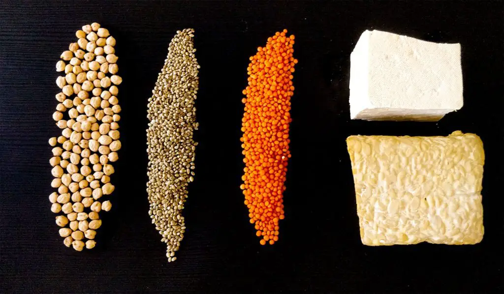 Making Tempeh in a Dehydrator Dry Food Craze